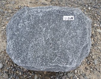  Vorschaubild U266-35319