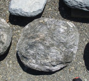  Vorschaubild U295-24451