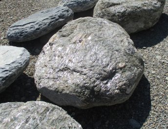  Vorschaubild U295-24451