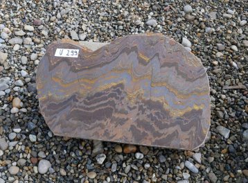  Vorschaubild U299-34578