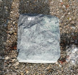  Vorschaubild U308-34586