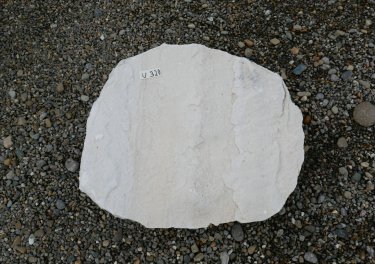  Vorschaubild U320-30728