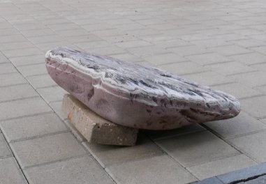  Vorschaubild U338-21643