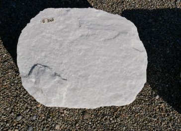  Vorschaubild U340-34212