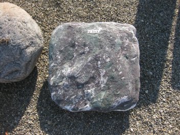  Vorschaubild U341-21646