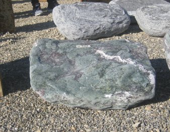  Vorschaubild U341-21646