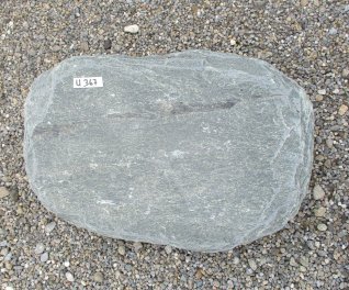  Vorschaubild U367-27392