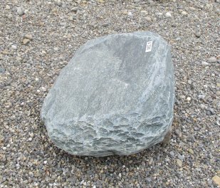  Vorschaubild U377-27395