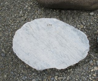  Vorschaubild U379-22876