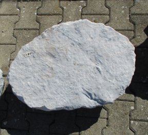  Vorschaubild U380-22877