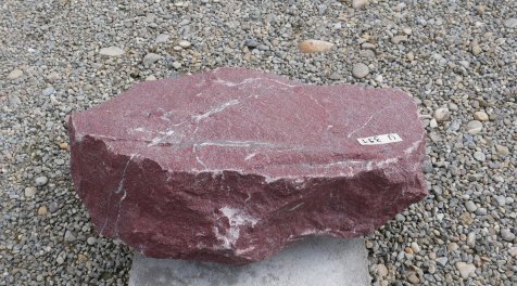  Vorschaubild U391-30781