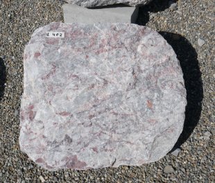  Vorschaubild U402-29435