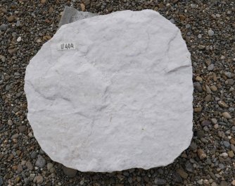  Vorschaubild U404-30786