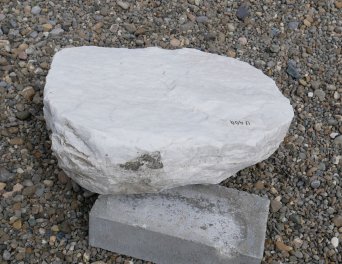  Vorschaubild U404-30786