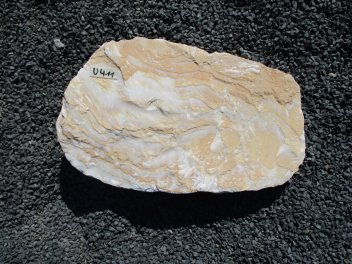  Vorschaubild U411-23052