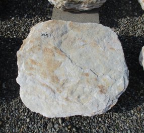  Vorschaubild U412-23053