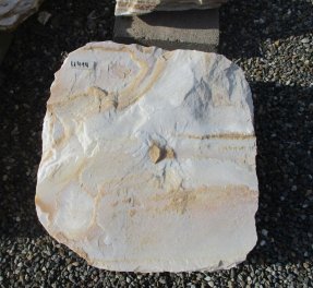  Vorschaubild U414-23055