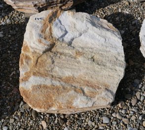  Vorschaubild U415-32636