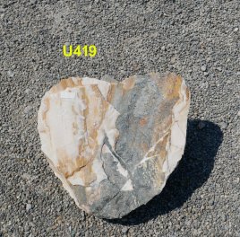  Vorschaubild U419-23060