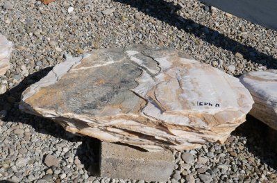  Vorschaubild U419-23060