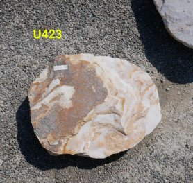  Vorschaubild U423-23064