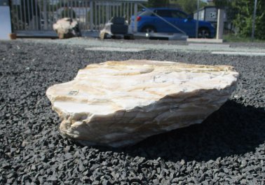  Vorschaubild U423-23064