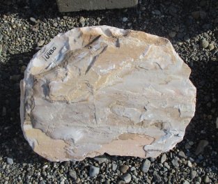  Vorschaubild U430-23071