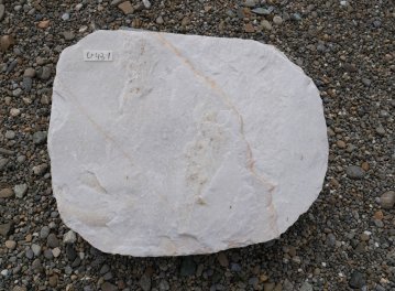  Vorschaubild U431-30797