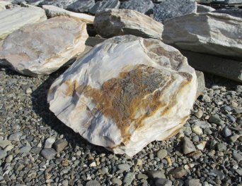  Vorschaubild U433-23074