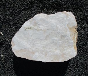  Vorschaubild U441-23082