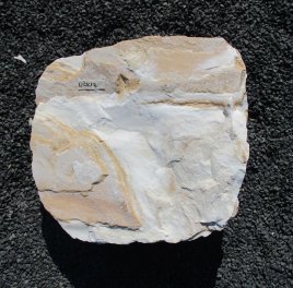  Vorschaubild U443-23084