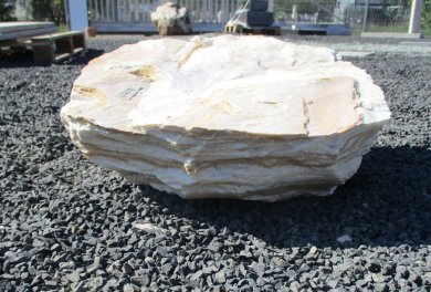  Vorschaubild U443-23084