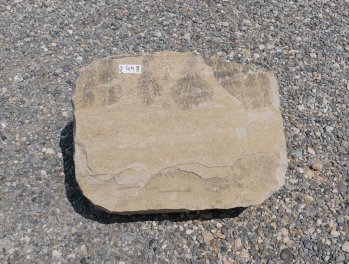  Vorschaubild U448-31331