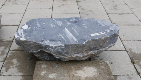  Vorschaubild U451-35789