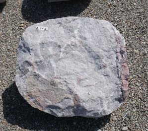  Vorschaubild U462-29445