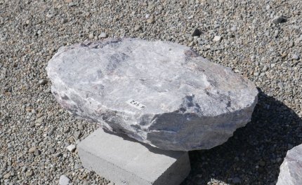  Vorschaubild U462-29445