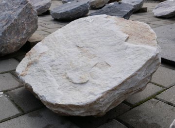  Vorschaubild U465-35796