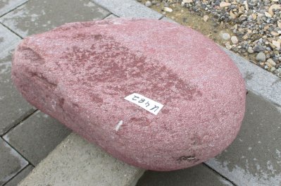  Vorschaubild U482-27169