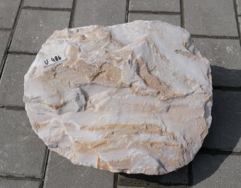  Vorschaubild U486-35807