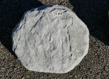  Vorschaubild U549-34311