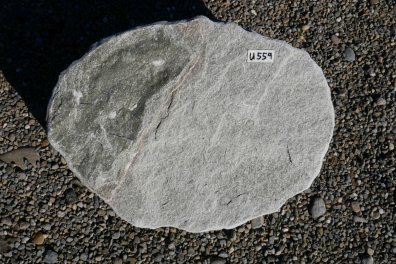  Vorschaubild U559-34318