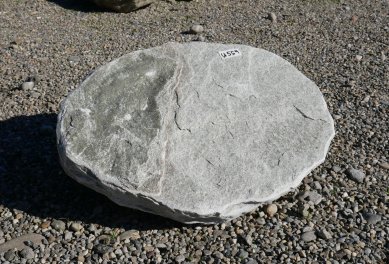  Vorschaubild U559-34318