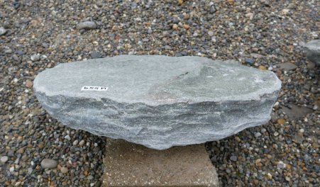  Vorschaubild U559-34318