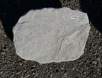  Vorschaubild U560-34319