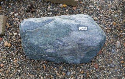  Vorschaubild U620-29768