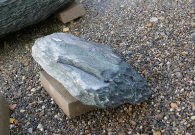  Vorschaubild U620-29768