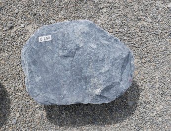  Vorschaubild U630-31389