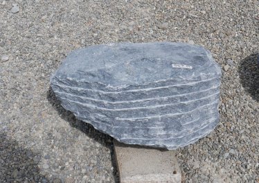  Vorschaubild U630-31389