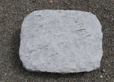  Vorschaubild U655-31558