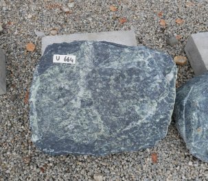  Vorschaubild U664-33924